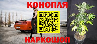 ГАЛЛЮЦИНОГЕННЫЕ ГРИБЫ Славгород