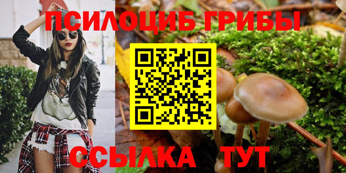 Галлюциногенные грибы Magic Shrooms Новоалтайск